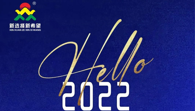 再见2021！你好2022