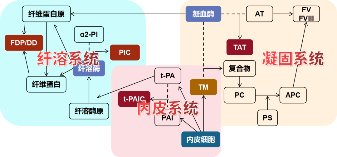 血栓性疾病的新型分子标志物—血栓四项