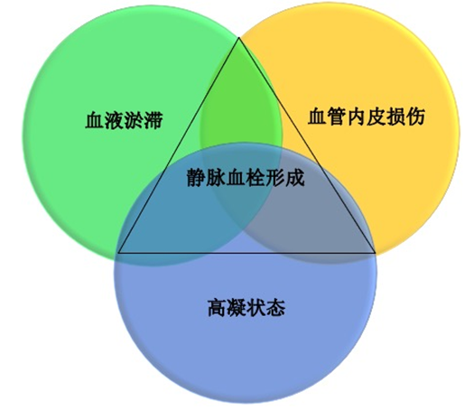 沉默杀手 VTE，如何进行抗凝治疗？三问搞懂