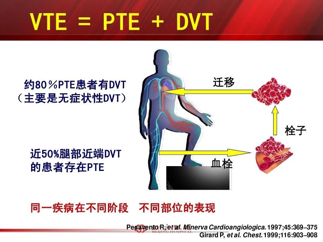 盘点那些为VTE代言的名人