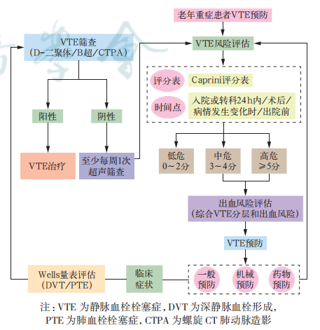 《老年重症患者静脉血栓栓塞症预防中国专家共识（2023）》内容节选 ---老年重症患者的 VTE 预防方法及预防流程