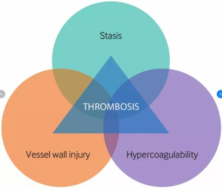 血栓形成，三个要素细分说