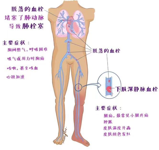 诗和远方 让健康与灵魂共享