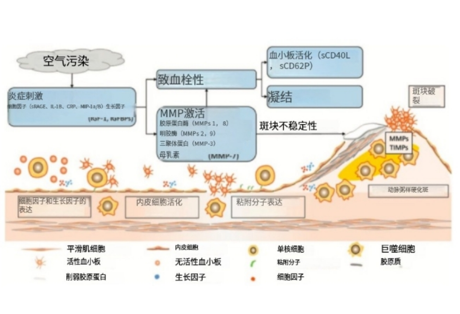 3微信截图_20240412090457